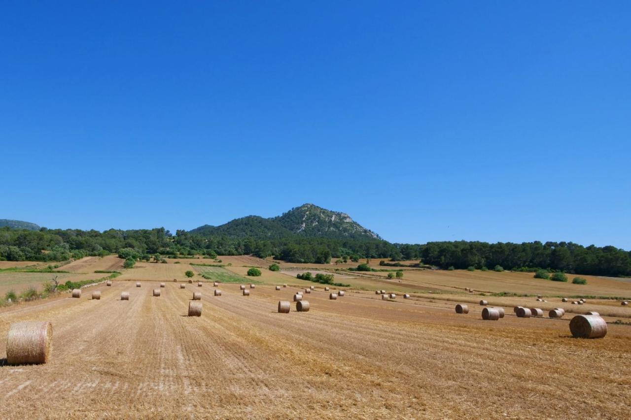 Villa Son Fornes Algaida  Esterno foto